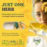 Bromelain Capsules Manufacturer - 500mg Vegan Dietary Supplement for Digestive Support