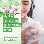 Private Label Vaginal Wash Manufacturer - Mint Whitening PH Balance Feminine Intimate Care