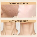 Avocado Oil Manufacturer - Cold Pressed, Virgin, for Skin Brightening & Hair Care
Rose Hip Oil Manufacturer - 100% Pure, Organic, for Anti-Aging & Skin Whitening
Castor Oil Manufacturer - USP Grade, Hexane-Free, for Hair Growth & Eyelashes