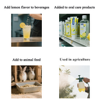 Citral Manufacturer - Synthetic Terpene Flavor CAS 5392-40-5