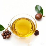 Camellia Seed Oil Manufacturer - 100% Pure Natural for Skin Massage & Stretch Marks