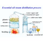 Peppermint Essential Oil Manufacturer - Pure Natural Spearmint Oil in Bulk