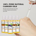Camellia Seed Hair Oil Manufacturer - Pure Natural for Restore & Smoothness OEM Packing