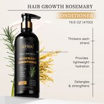 Organic Hair Care Set Manufacturer - Natural Herbal Rosemary Oil Shampoo Conditioner Kit for Scalp Repair and Hair Growth
