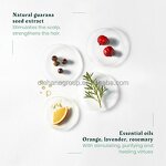 Custom Organic Vegan Rosemary Shampoo Manufacturer - Anti-Dandruff, Moisturizing & Scalp Care for Daily Use