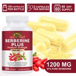 Berberine Plus Supplement Manufacturer - Non-GMO for Immune & Digestion Support