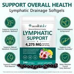 Lymphatic Drainage Capsules Manufacturer - Gluten-Free Antioxidant Softgel Supplement for Immune Support