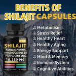 Himalayan Shilajit Capsules Manufacturer - Pure Energy & Wellness Supplement for Adults