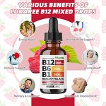 Vitamin B Complex Liquid Drops Manufacturer - Sublingual B12 B6 B1 for Immune & Energy Metabolism