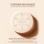 Makeup Concealer Manufacturer - Private Label Long Lasting Waterproof Oil Control Liquid Matte Air Cushion Foundation CC Cream