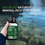 Sea Moss Capsules Manufacturer - Private Label Organic with Black Seed Oil & Herb Extracts