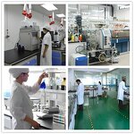 Organic Peppermint Leaf Powder Manufacturer - 100% Pure Mint Extract