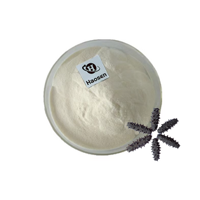 Sea Cucumber Peptide Powder Manufacturer - 98% Pure Extract, Halal Certified