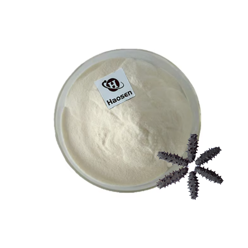 Sea Cucumber Peptide Powder Manufacturer - 98% Pure Extract, Halal Certified