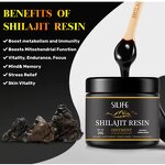 Shilajit Resin Manufacturer - Organic Himalayan Powder with 85% Fulvic Acid for Men