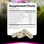 Customized Booster Strength Capsules Manufacturer - Endurance Supplement for Men