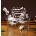Screw Cover Bottle Manufacturer - 15ml-500ml Transparent PET Plastic Seal Container with Cover