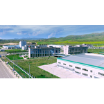 Casein Powder Manufacturer - Food Grade Rennet Casein from Yak Milk for Protein & Additives