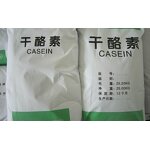 Casein Powder Manufacturer - Food Grade Rennet Casein from Yak Milk for Protein & Additives