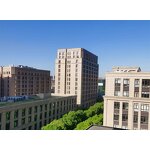 Casein Powder Manufacturer - Food Grade Rennet Casein from Yak Milk for Protein & Additives