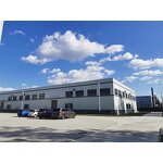 Vitamin E (DL-alpha-tocopherol) Manufacturer - Synthetic Antioxidant for Oil & Fried Food Fortification