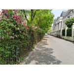 Cationic Maize Starch Manufacturer - Modified Corn Starch for Papermaking Retention Aid & Sizing