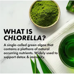 Spirulina Chlorella Powder Manufacturer - Organic Feed Grade Mixed Extract