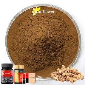 Korean Red Ginseng Extract Powder - Water-Soluble Energy Supplement Panax Ginseng Powder