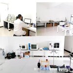 Carrot Extract Powder Manufacturer - 100% Purity Organic Instant Juice Concentrate