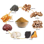 Organic Reishi Mushroom Extract Powder Manufacturer - 98% Food Grade for Mushroom Coffee