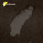 Cocoa Powder Manufacturer - Bulk 25kg Natural & Dutch Process Alkalized