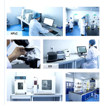 Sugar Free Matcha Mushroom Powder Manufacturer - Private Label & OEM