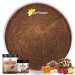 Organic Reishi Mushroom Extract Powder Manufacturer - 98% Food Grade for Mushroom Coffee