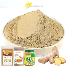 Ginger Powder Manufacturer - 100% Natural for Herbal and Culinary Use