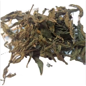 Lemon Verbena Leaf Manufacturer - Wholesale Dried Pure Leaf for Tea