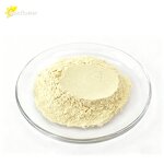 Ginseng Extract Manufacturer - High Quality Factory Supply