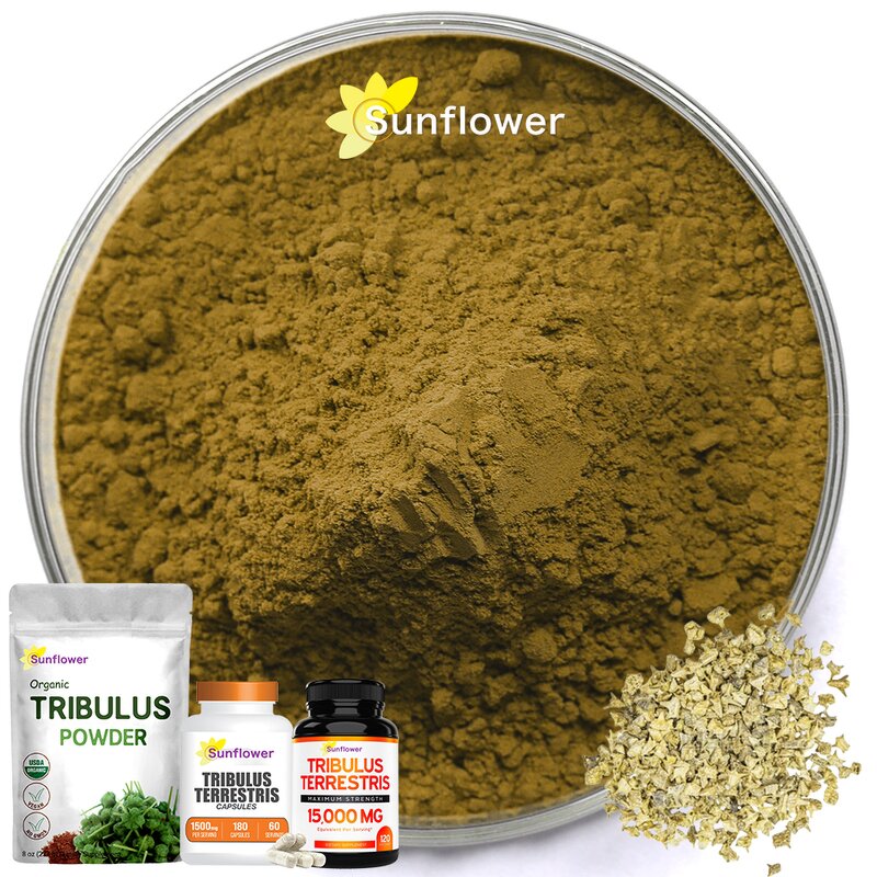 Tribulus Terrestris Extract Powder Manufacturer - 45% to 90% Tribulus Saponins