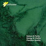 Spirulina Powder Manufacturer - Organic Food Grade Extract with Phycocyanin 1kg