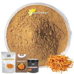 Cordyceps Sinensis Militaris Manufacturer - Tibet Nagqu Grade Whole Grass Not Extract