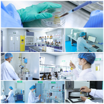 Lions Mane Mushroom Extract Manufacturer - Private Label, 10% to 50% Concentrate