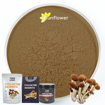Cyclocybe Aegerita Extract Powder - Food Grade Herbal Supplement with HPLC UV Testing
