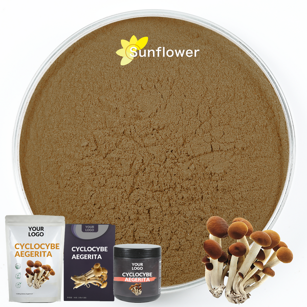 Cyclocybe Aegerita Extract Powder - Food Grade Herbal Supplement with HPLC UV Testing