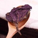 Perilla Leaf Tea Manufacturer - Dried Whole Folium Perillae for Natural Herb Tea