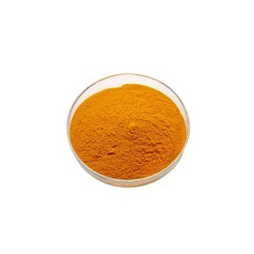 Carrot Extract Powder Manufacturer - 100% Purity Organic Instant Juice Concentrate