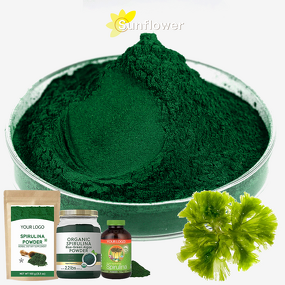 Spirulina Powder Manufacturer - Organic Ultra-Fine Powder for Immunity & Skin