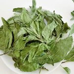 Dry Mint Leaf Tea Manufacturer - Spearmint Loose Leaf Tea