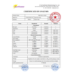 Blueberry Extract Powder Manufacturer - 5%-25% Anthocyanin Pure Fruit Concentrate EU Standard