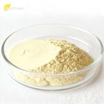 Ginseng Extract Manufacturer - High Quality Factory Supply