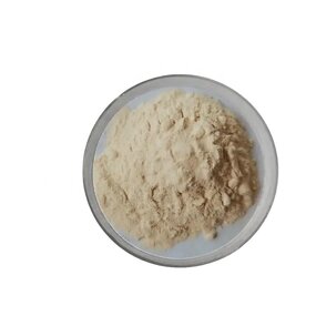 White Kidney Bean Powder Manufacturer - 100% Natural Grinding
