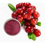 Cranberry Powder Manufacturer - Bulk Organic Dried Fruit Extract
